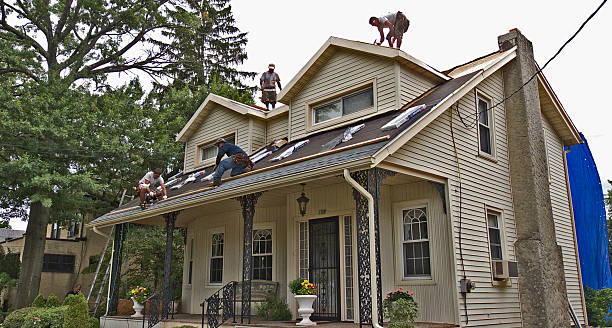 Professional Roofing Contractor in Red Lodge, MT