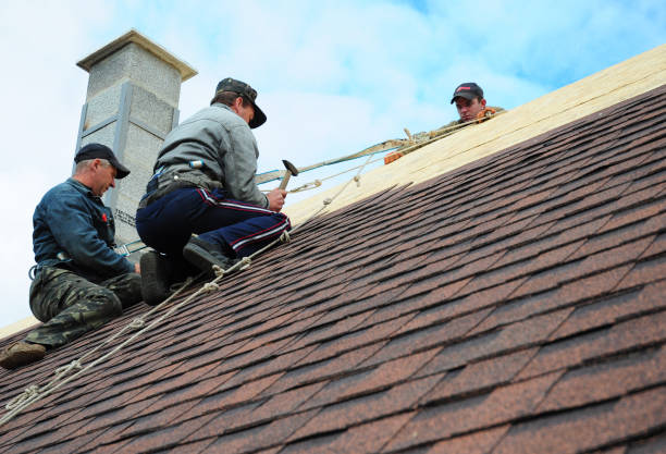 Best Local Roofing Companies  in Red Lodge, MT